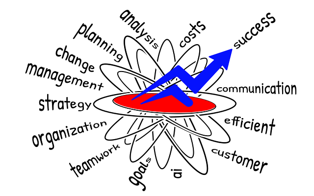 Management Consultant
